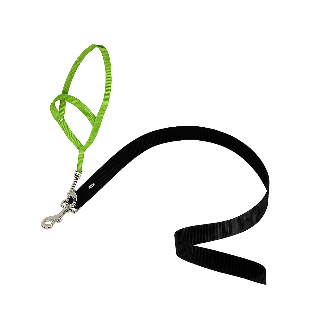 Adjustable No Pull Dog collar