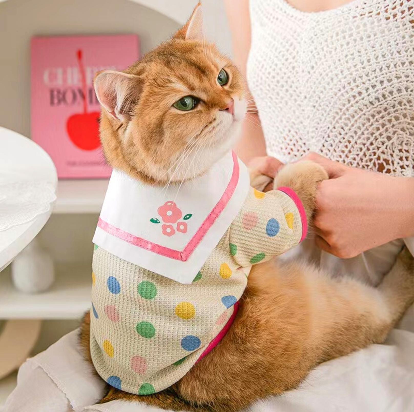 Charming Naval Collar Pet T-shirt with Colourful Dots