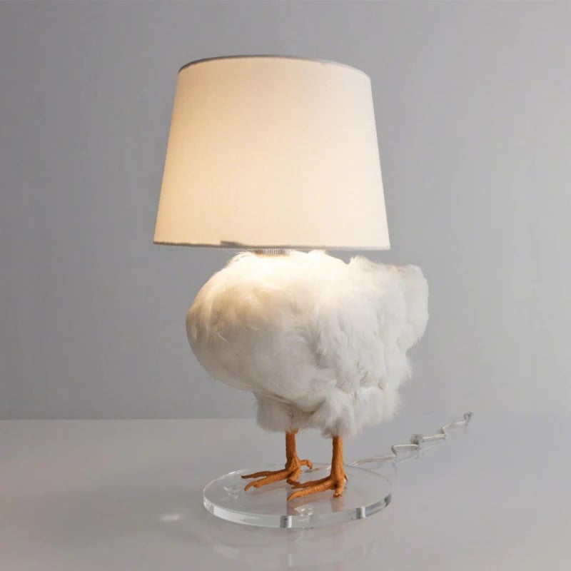 Chicken Egg Lamp