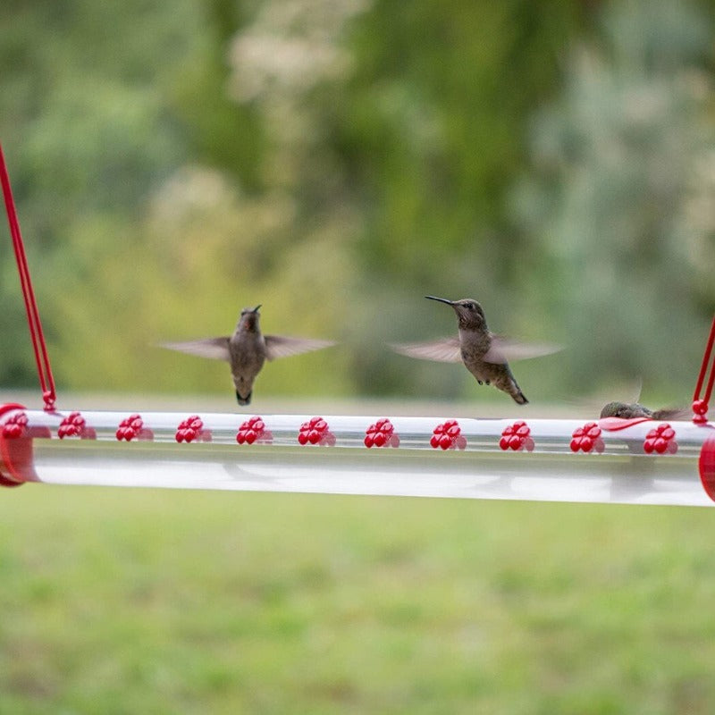 Bird Hanging Feeder Foldable