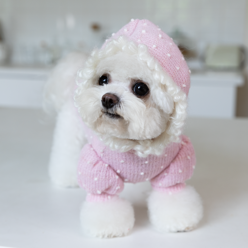 Sweet Polka Dot Knitted Dog Cat Hoodie