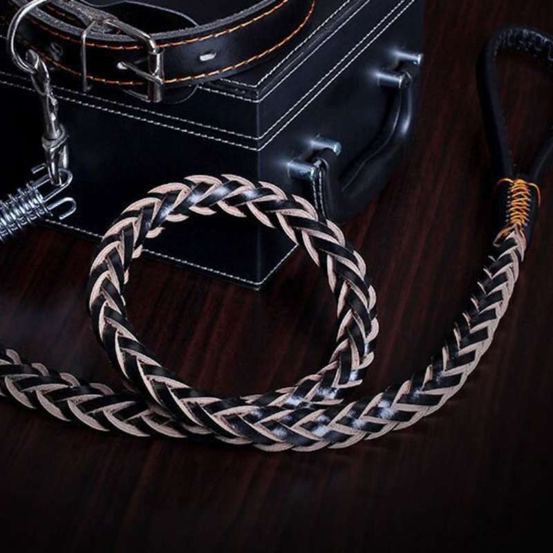 Leather Dog Collar And Leash