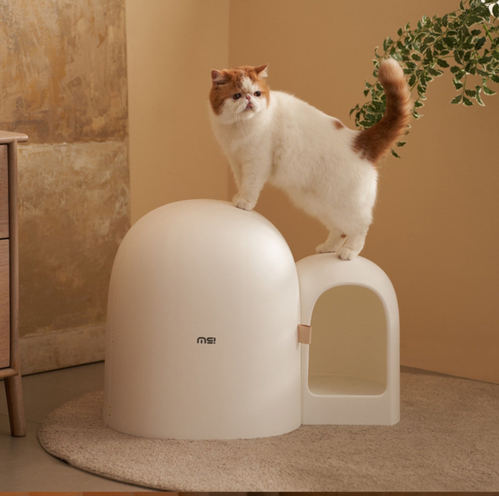 Makesure Cat Litter Box MAX