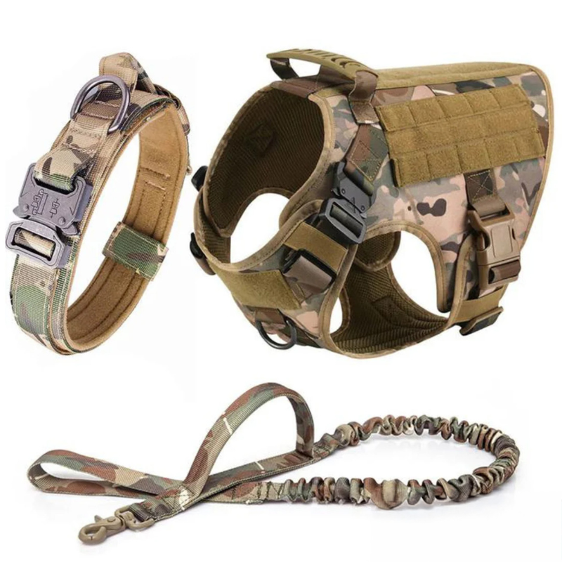 Vibrant Design Dog Harness With D Rings