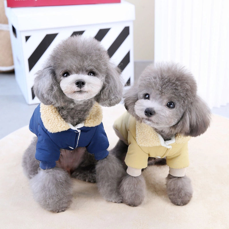 Pet Clothing Dog Clothes Autumn And Winter New Teddy Cat Pet Clothes Thickened Winter Clothes 23DD Bear Cotton Clothes