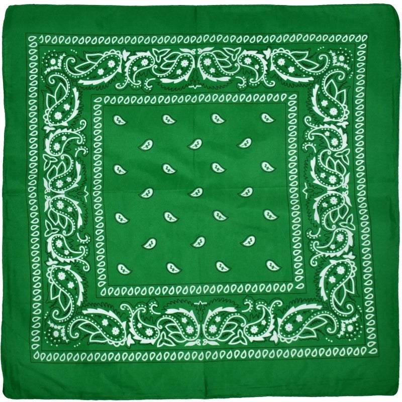 Unisex Hip-hop Paisley