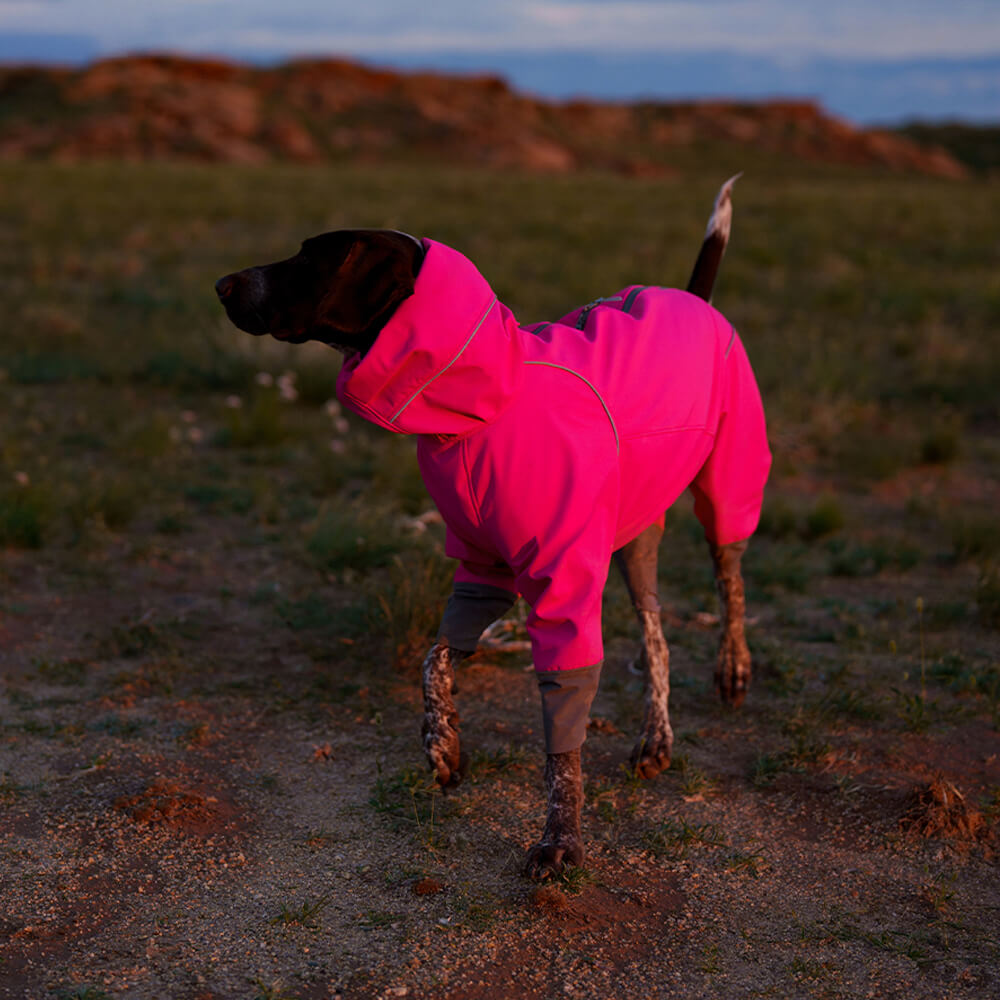 Full Coverage Waterproof Reflective Adjustable Turtleneck Warm Dog Jacket