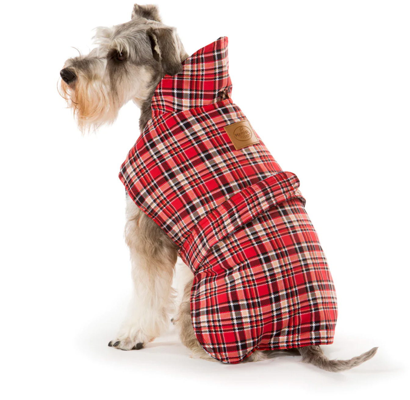 All-Weather Dog Coats