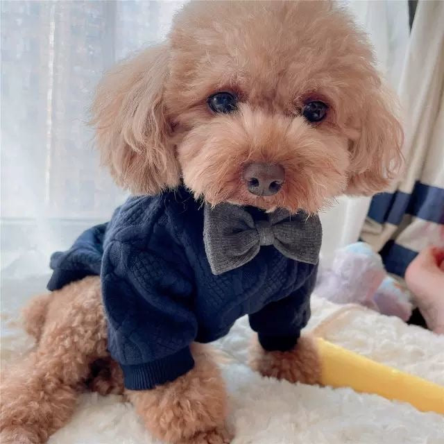 Knitted Bowknot Dog Cat Sweater