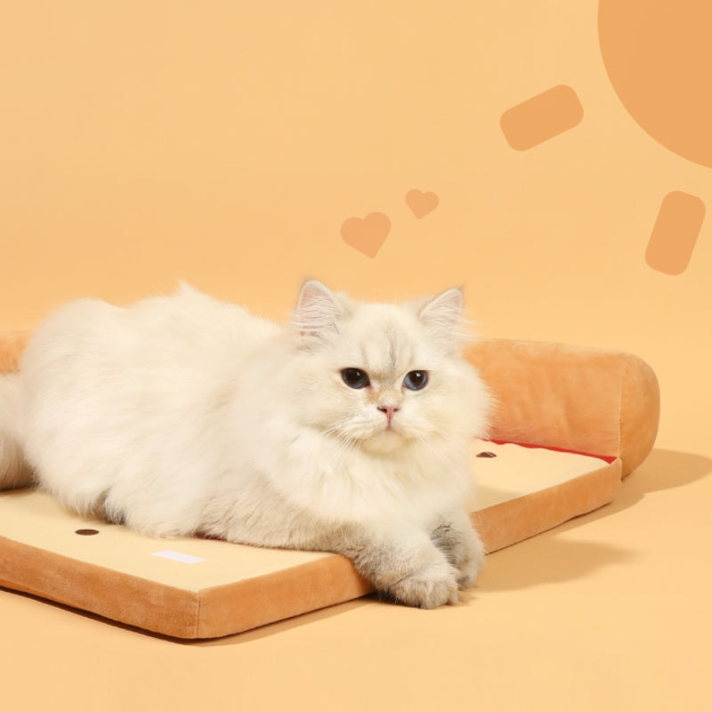 Fun Toys Mat Pizza Cat Bed