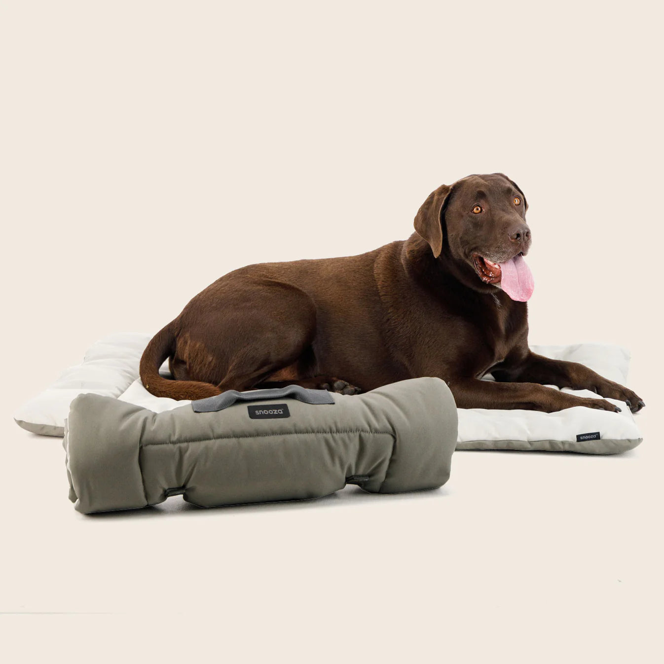 Roll & Go Outdoor Dog Travel Mat