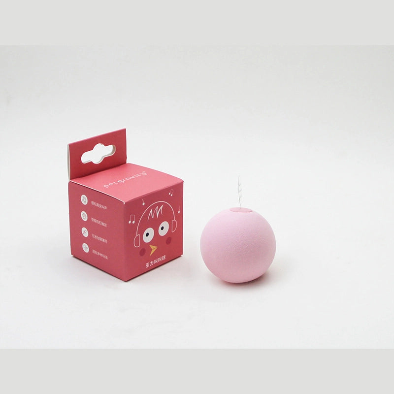 Minimalist ABS Silica Gel Solid Color Pet Toys