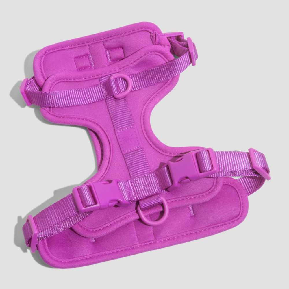 Wild One Dog Harness