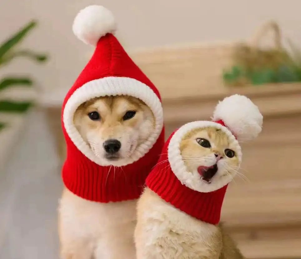 Winter Pet Christmas Hat Warmer