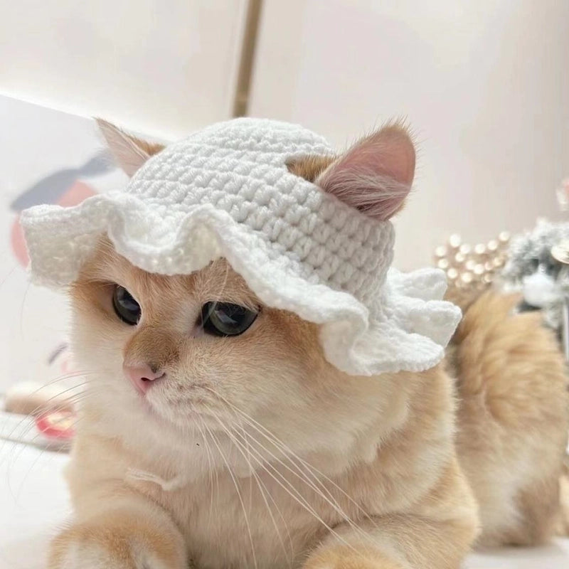 Cute Acrylic Cartoon Pet Hat