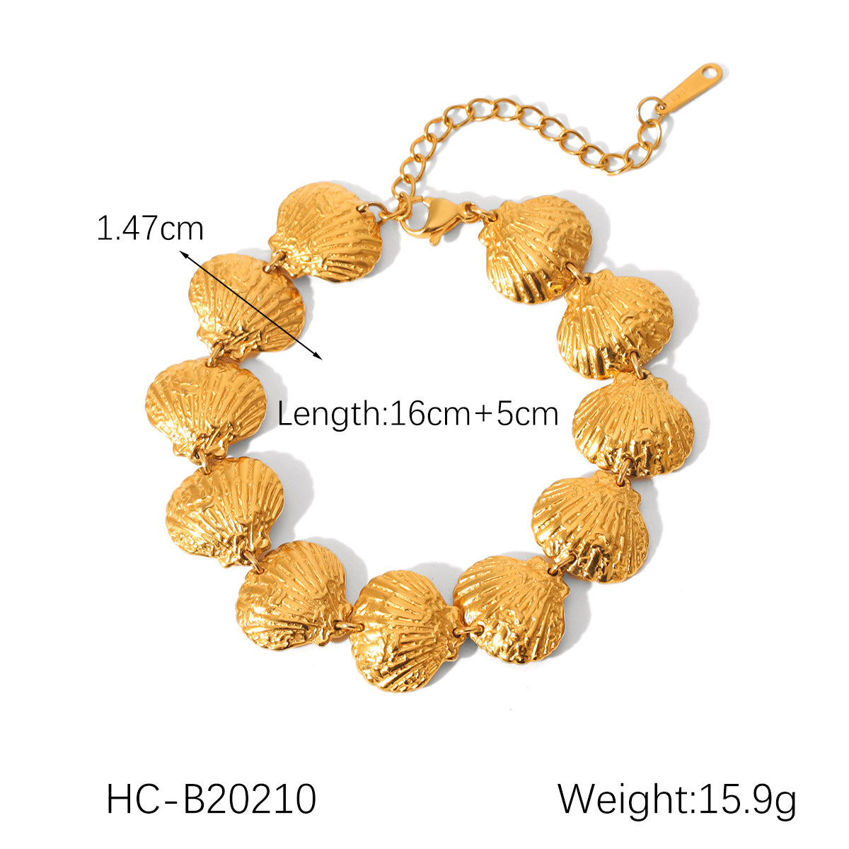 18K Gold Stainless Steel Shell Chain Necklace Bracelet Ins Ocean Fan Shell Titanium Steel Clavicle Chain