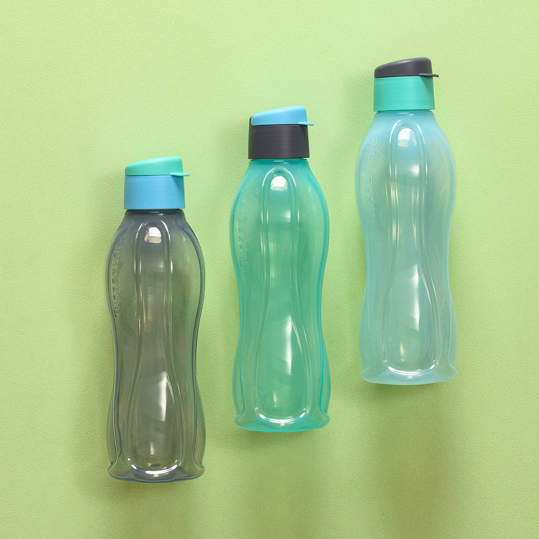 ECO BOTTLE 750ML(3) G. B. G