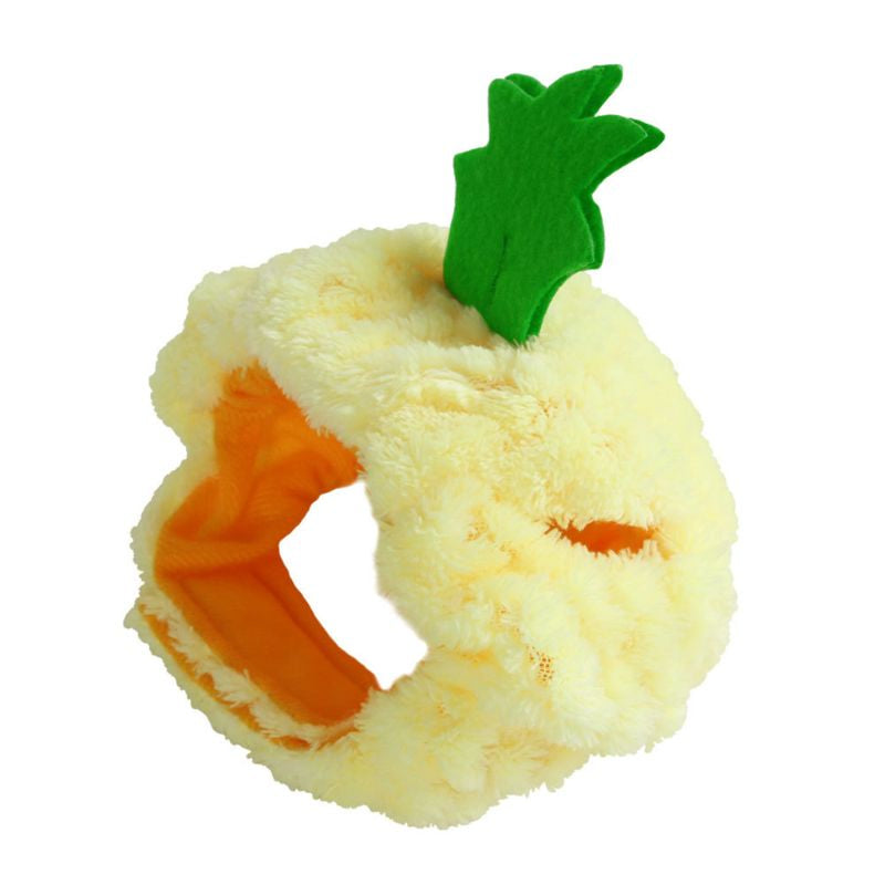 Pineapple Cat Hat