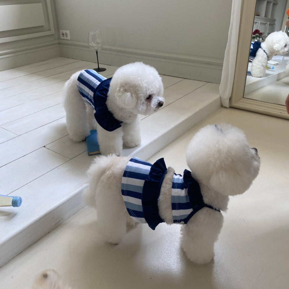 Contrast Color Striped Dog Cat Bikini