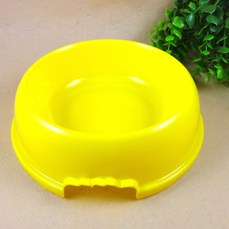 Dog Bowl For Food