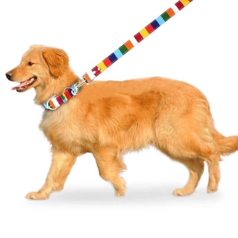 Cute Pu Leather Canvas Color Block Leash