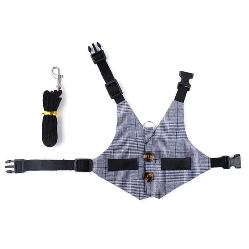 Cute Print Littel Cat Rabbit Harness and Leash Set Outdoor Walking Pet Harnesses for Small Animals Rabbits Teacup Dogs Clothes