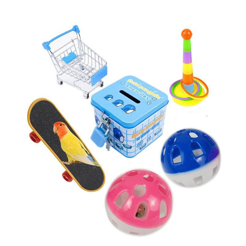 Birds Training Toys Set