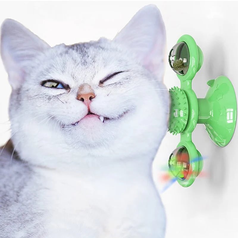 🔥  Interactive Windmill Cat Toys with Catnip