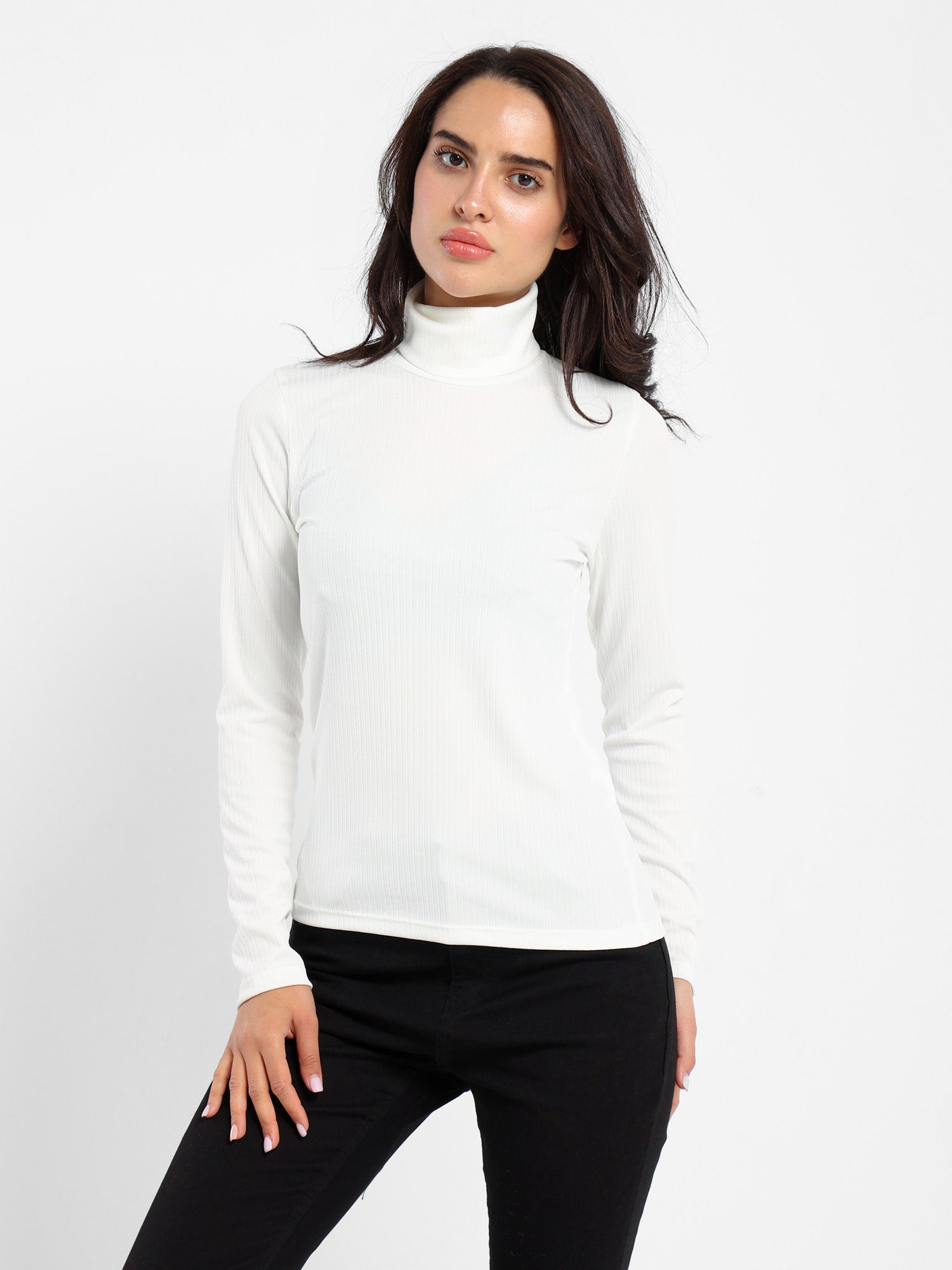 Turtle Neck Long Sleeves Top