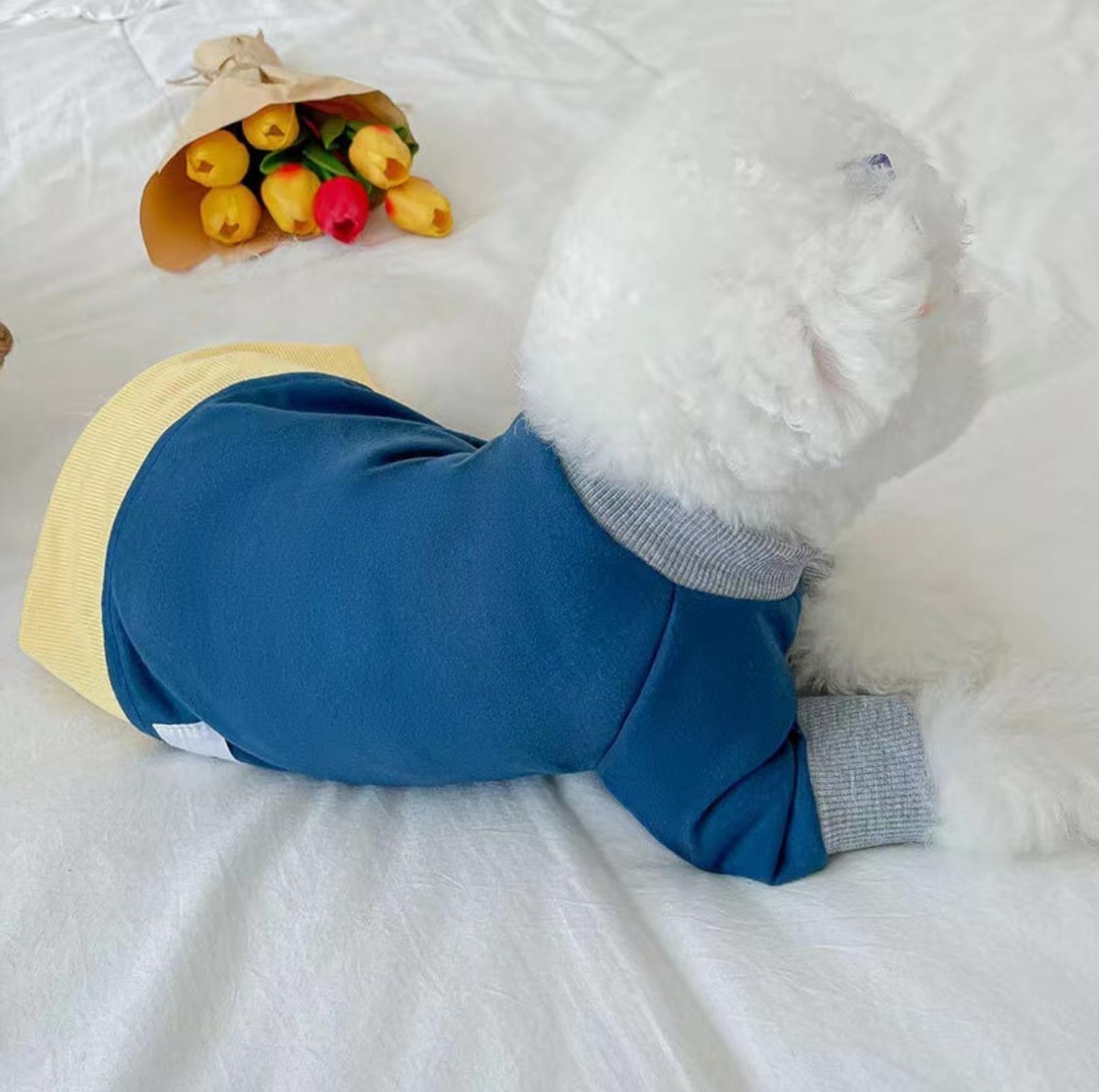 Versatile Colour Blocking Pet Sweatshirt