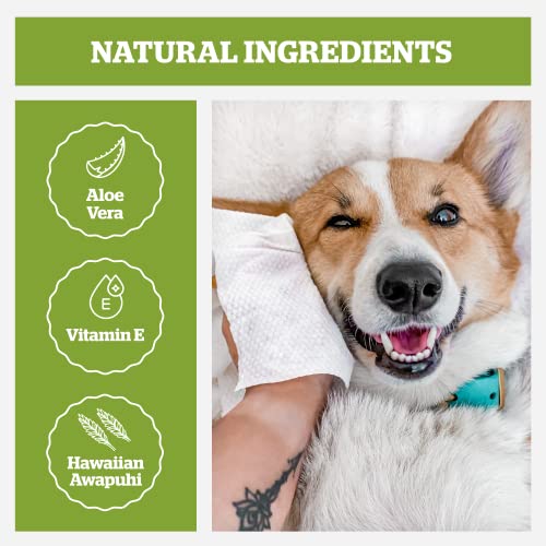 Pogi's Dog Grooming Wipes - 100 Dog Wipes for Cleaning and Deodorizing - Plant-Based. Hypoallergenic Pet Wipes for Dogs. Puppy Wipes - Quick Bath Dog Wipes for Paws. Butt. & Body - Fragrance Free