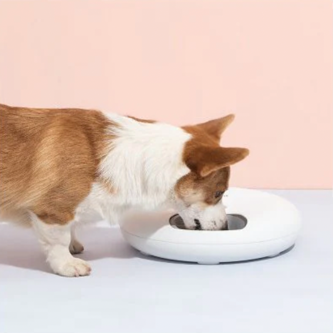 6 Meal Automatic Pet Food Dispenser With Programmable Timer