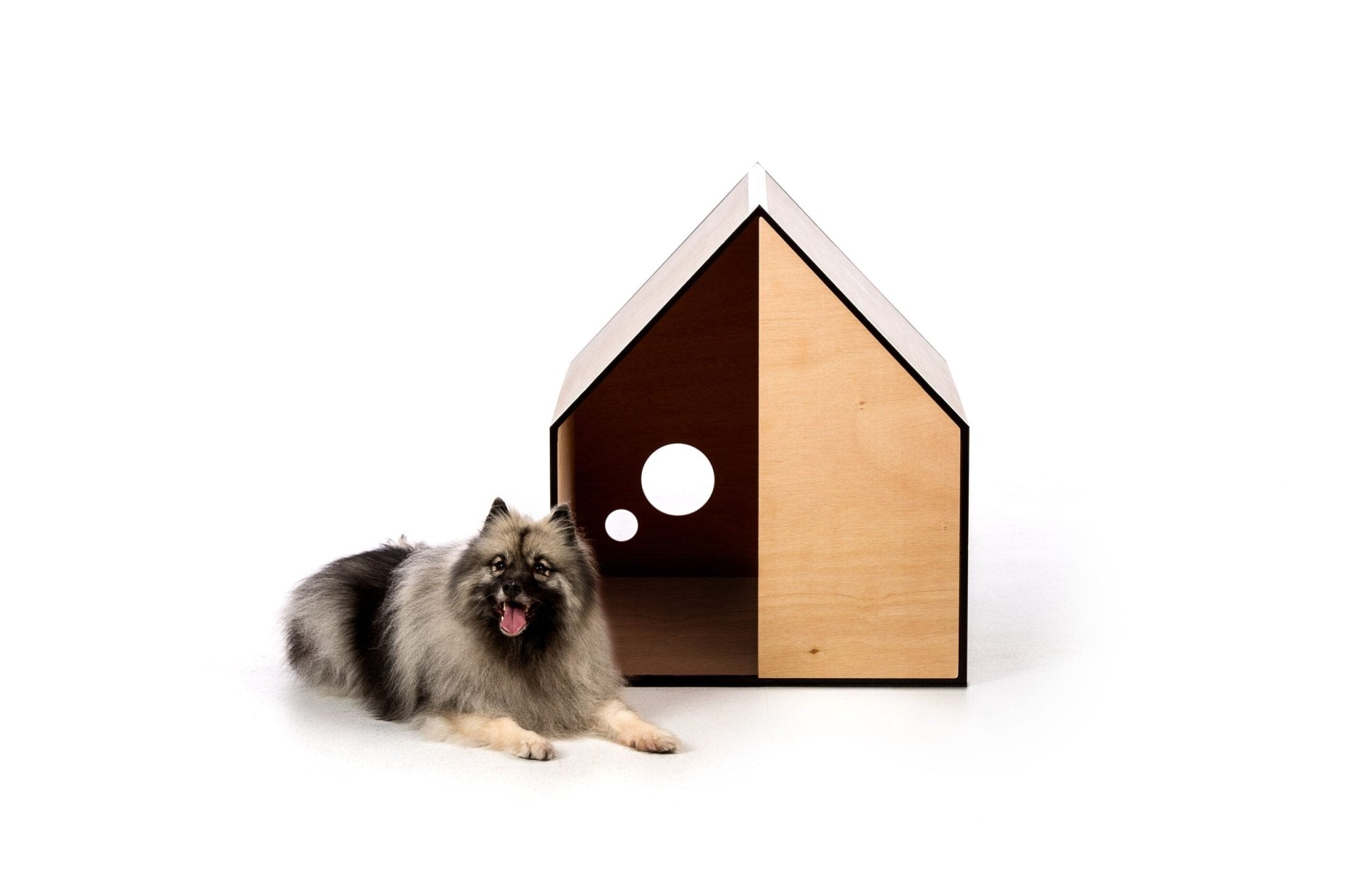 The Dog Room in Medium