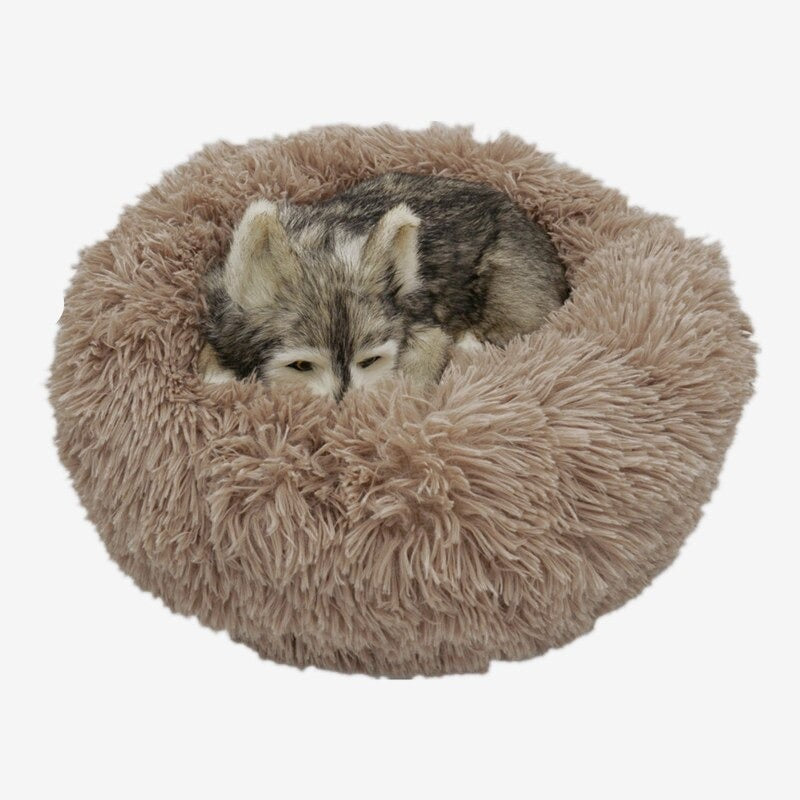Cat Round Bed