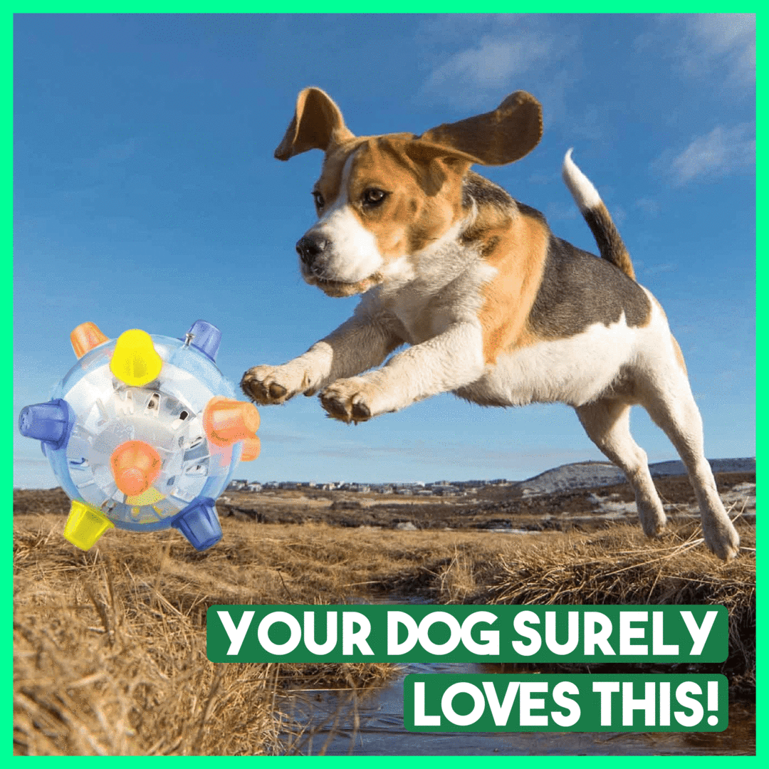 🔥Jumping Activation Ball for Dogs🐶🥎 BUY 2 GET 1 FREE🎅💥