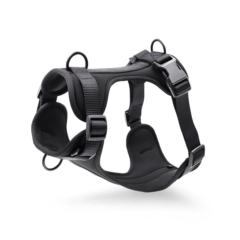 Minimalist Classic Style Pvc Polyester Solid Color Leash