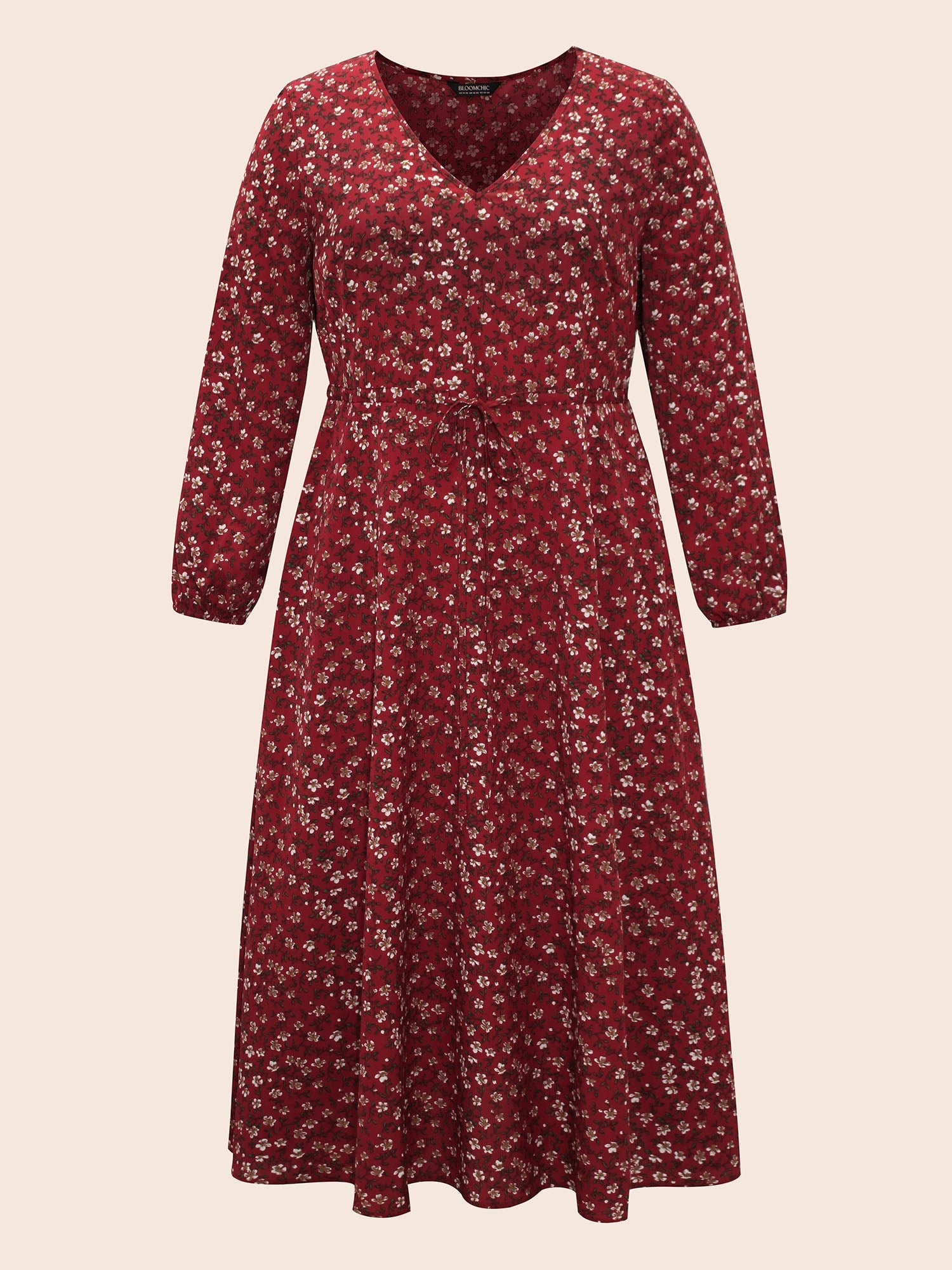 V Neck Ditsy Floral Drawstring Dress