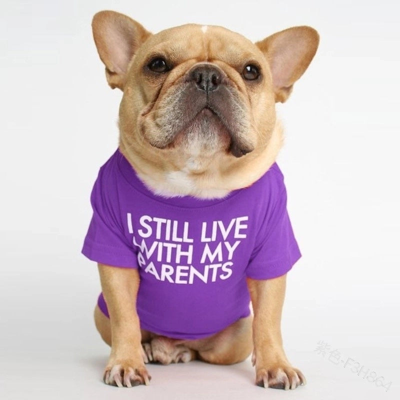 Fashion Cloth Letter Pet Clothing 1 Piece