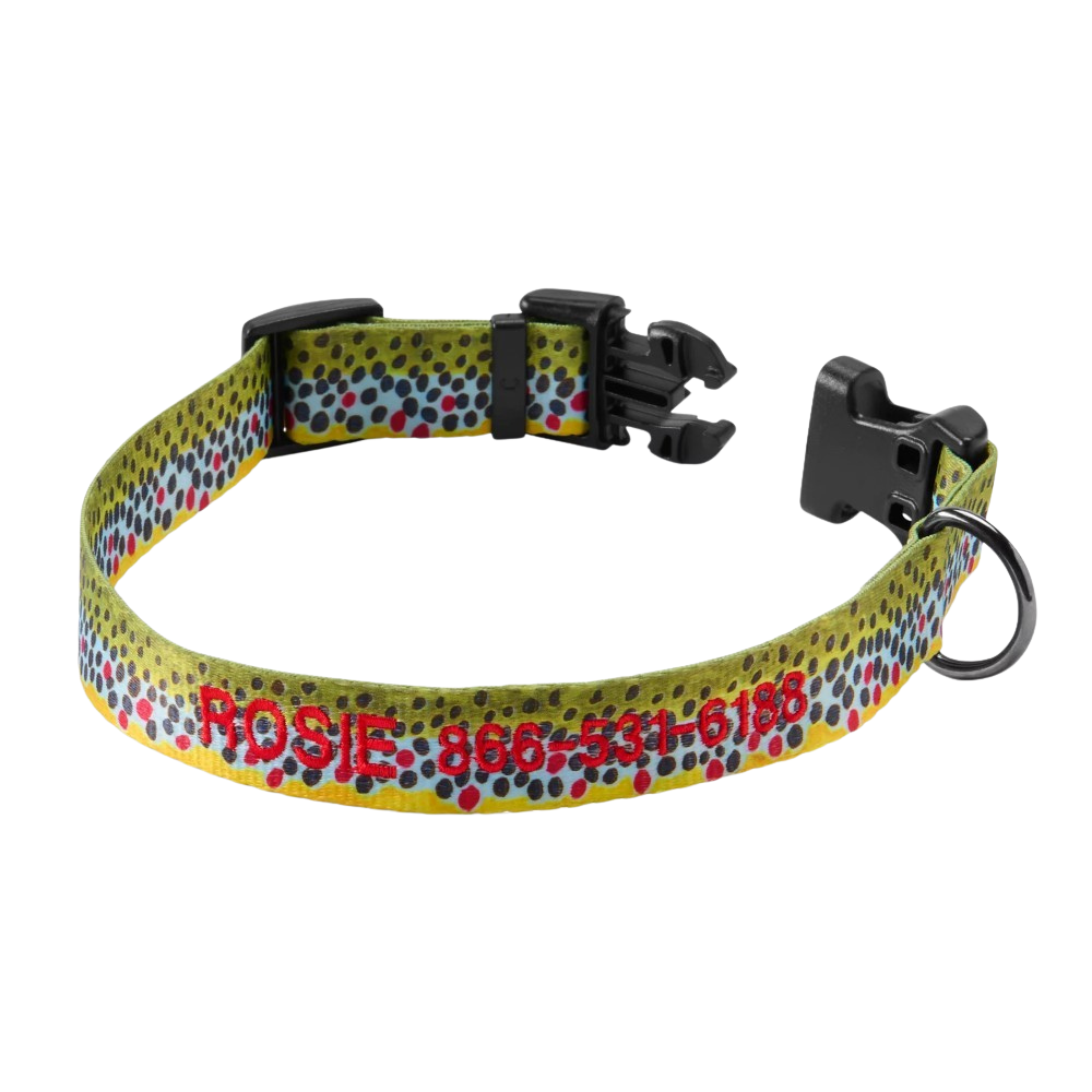 Personalized Side Release Buckle Collar