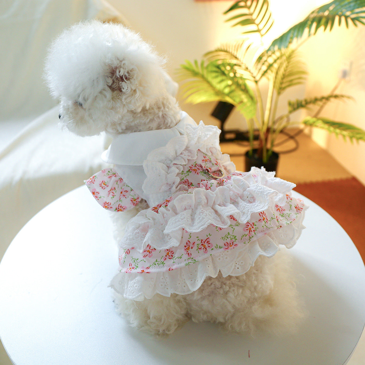 Flower Lace Decor Dog Cat Dress Harness