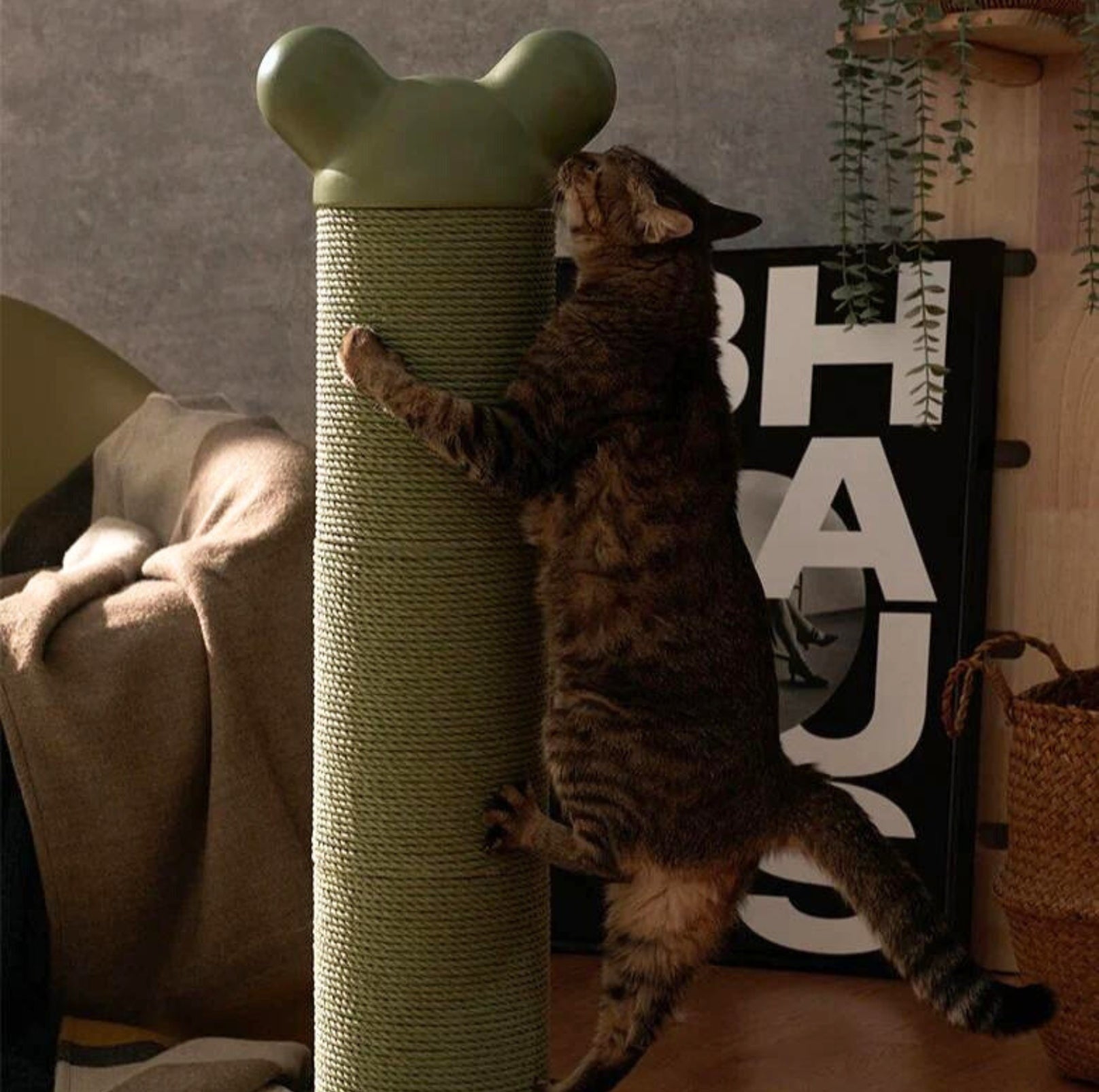 Makesure Nino Cat Scratching Post | Cat Tree