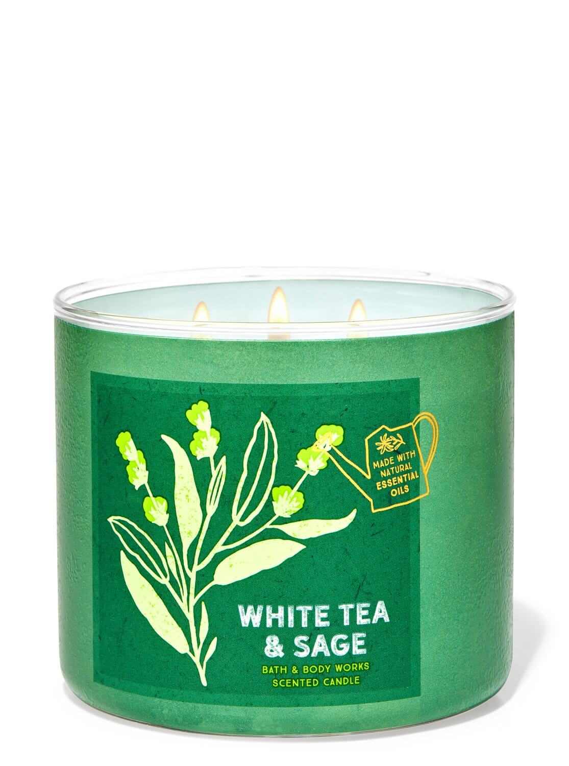 Bath & Body Works White Tea & Sage 3-Wick Candle