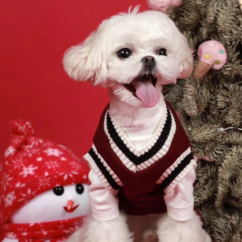 V-neck Striped Knit Vest For Dog Cat