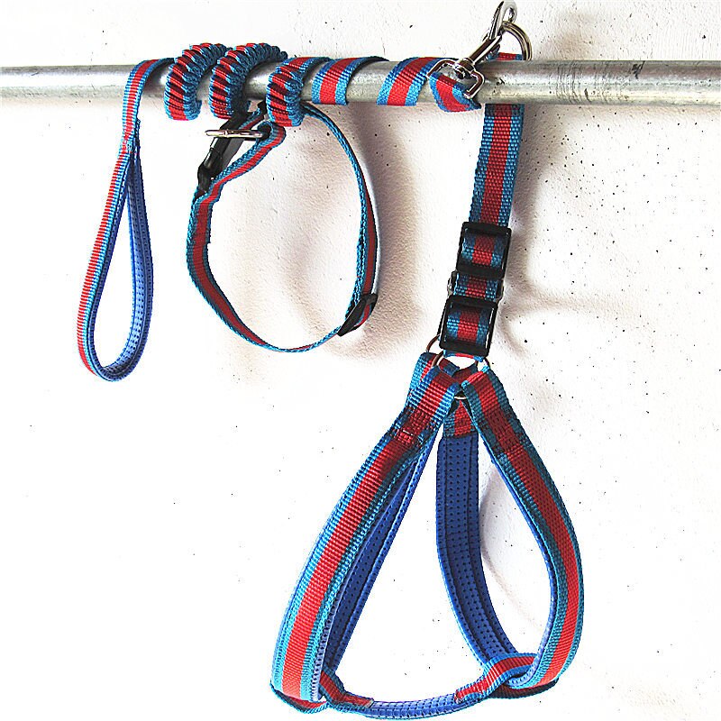 Bungee Dog Harness Leash