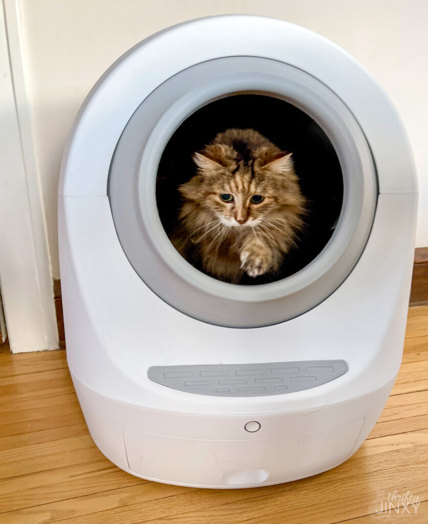 Caja de arena para gatos autolimpiante grande con alarma de seguridad controlada por aplicación y monitor de salud inteligente