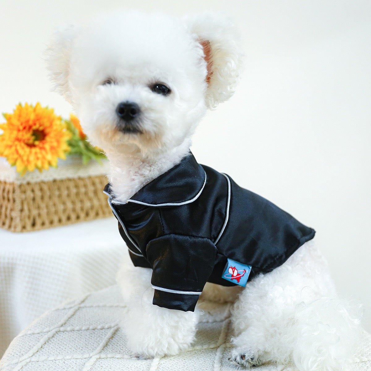 Soft Silk Dog Cat Pajamas