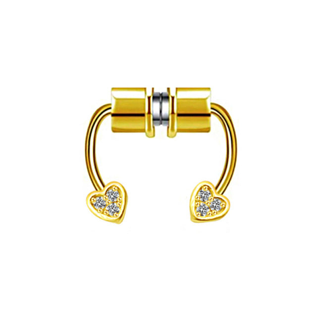 Magnet Septum Ring