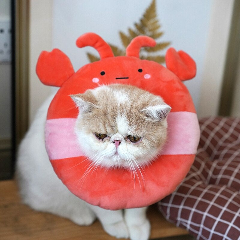 Collar Cute Little Crab Neck