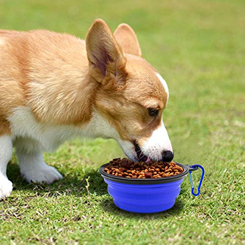 Dog Bowl Pet Collapsible Bowls. 2 Pack for Cats Dogs. Portable Pet Feeding Watering Dish for Walking Parking Traveling with 2 Carabiners (Small. Blue+Green)