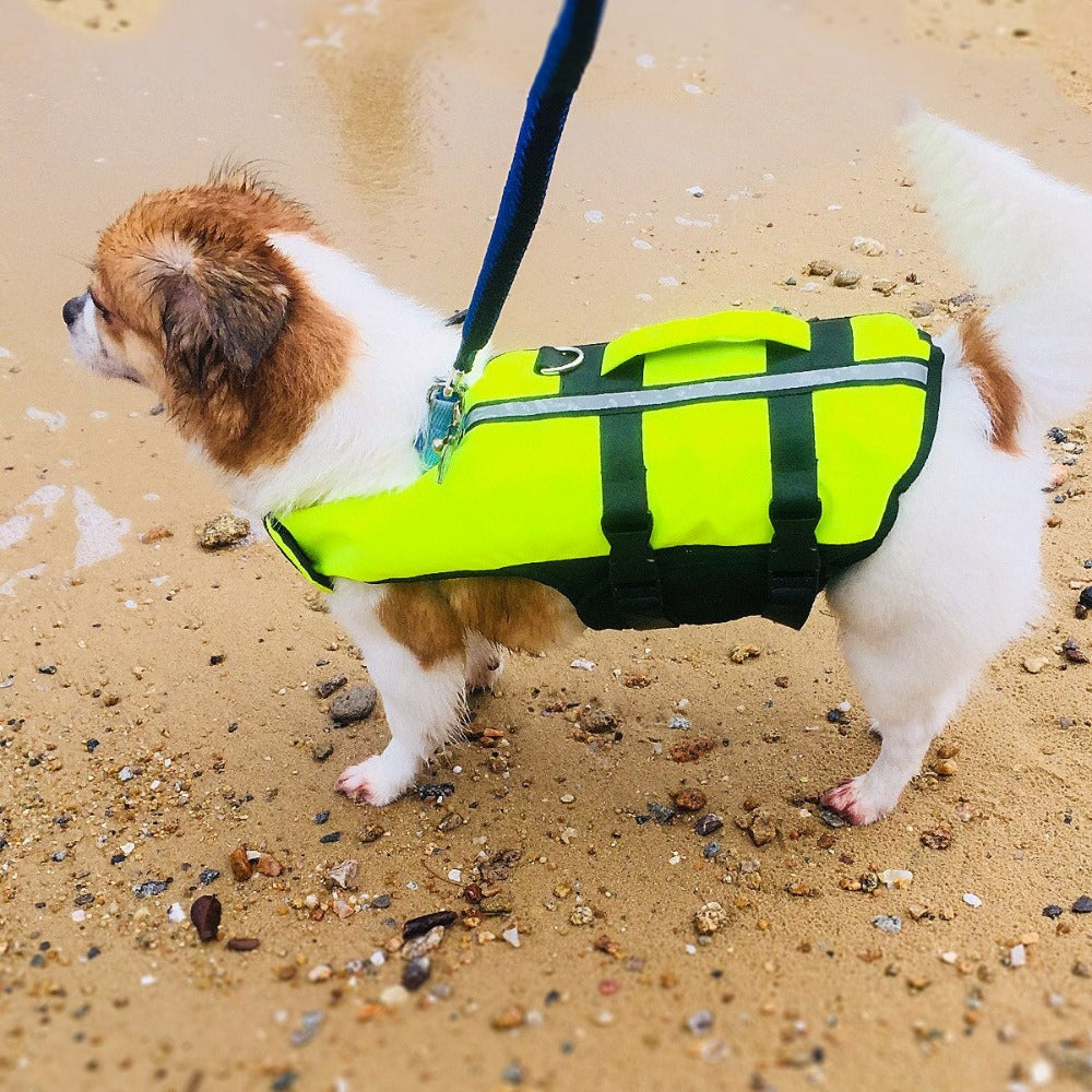 Dog Airbag Life Jacket